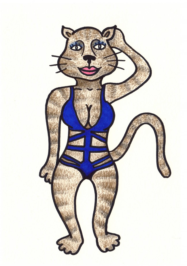cat bathing suit