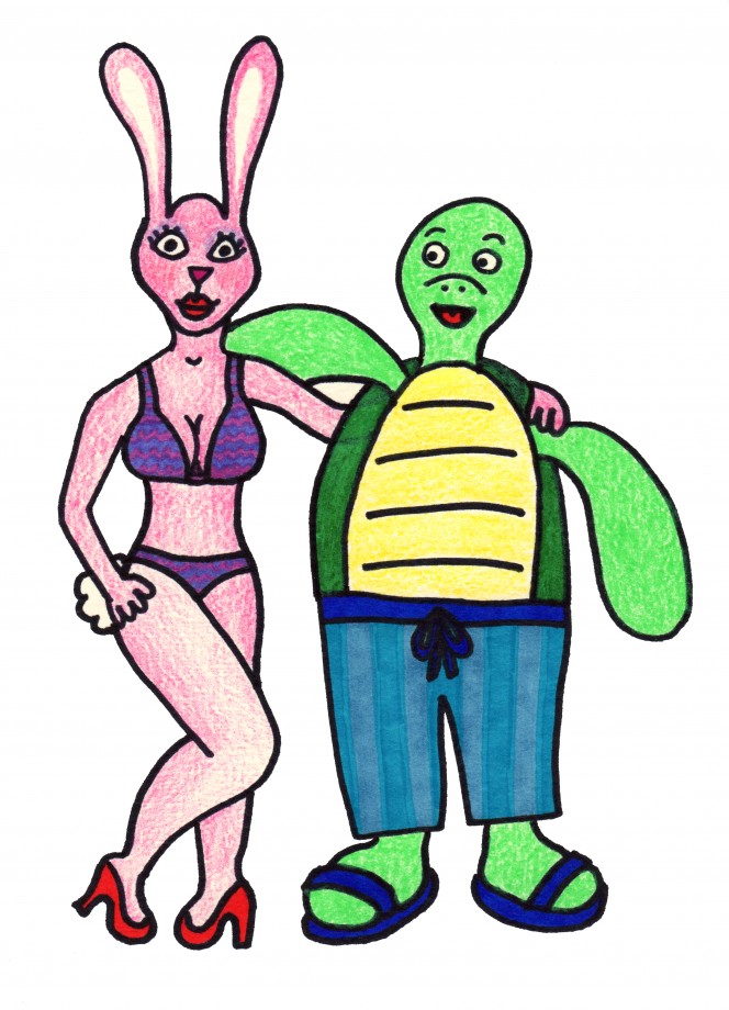tortoise and hare bathing suits